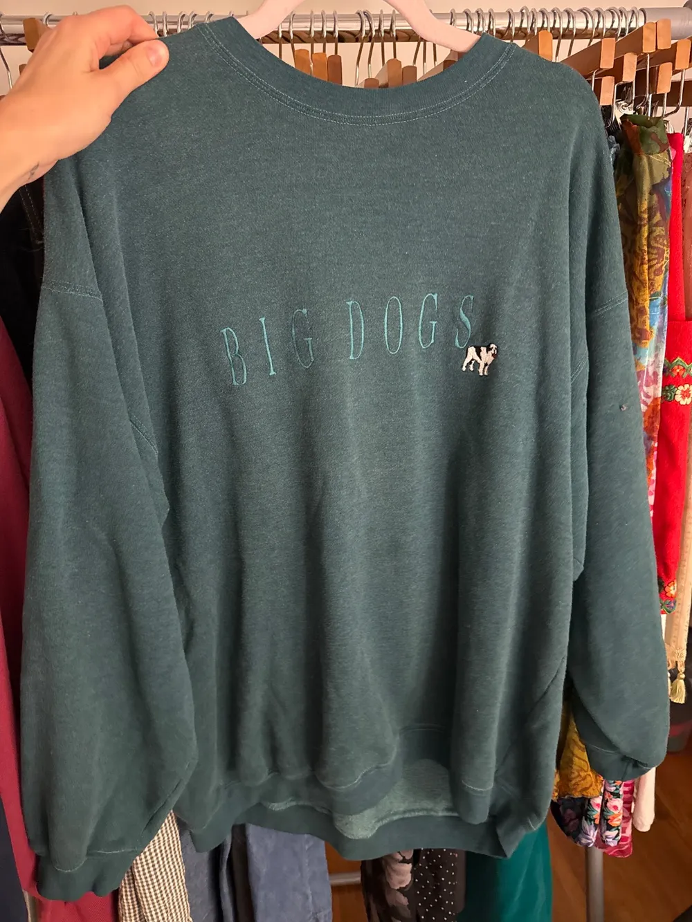 90s Big Dogs Sweatshirt photo 1